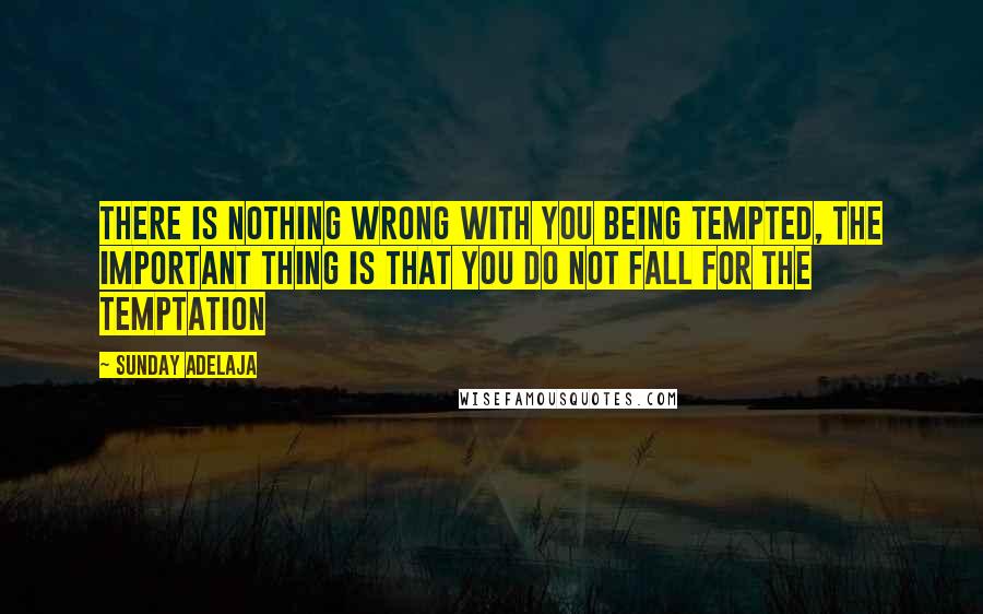 Sunday Adelaja Quotes: There is nothing wrong with you being tempted, the important thing is that you do not fall for the temptation