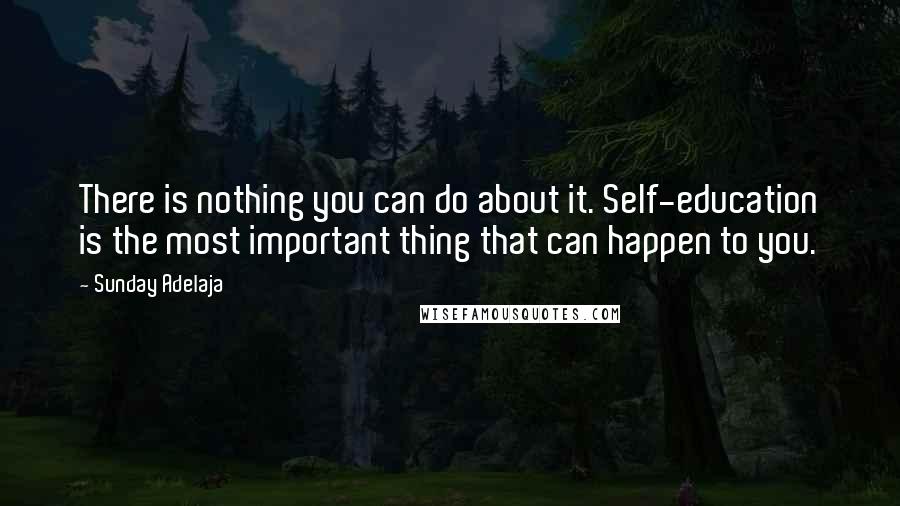 Sunday Adelaja Quotes: There is nothing you can do about it. Self-education is the most important thing that can happen to you.