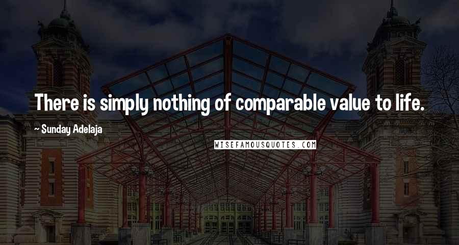 Sunday Adelaja Quotes: There is simply nothing of comparable value to life.
