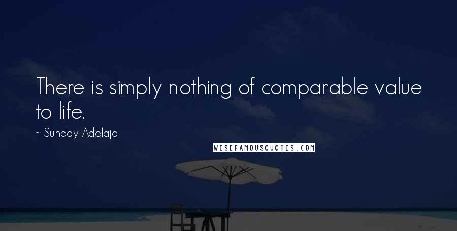 Sunday Adelaja Quotes: There is simply nothing of comparable value to life.