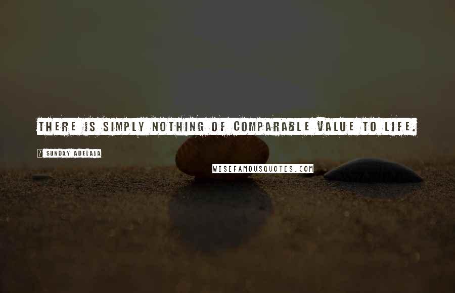 Sunday Adelaja Quotes: There is simply nothing of comparable value to life.