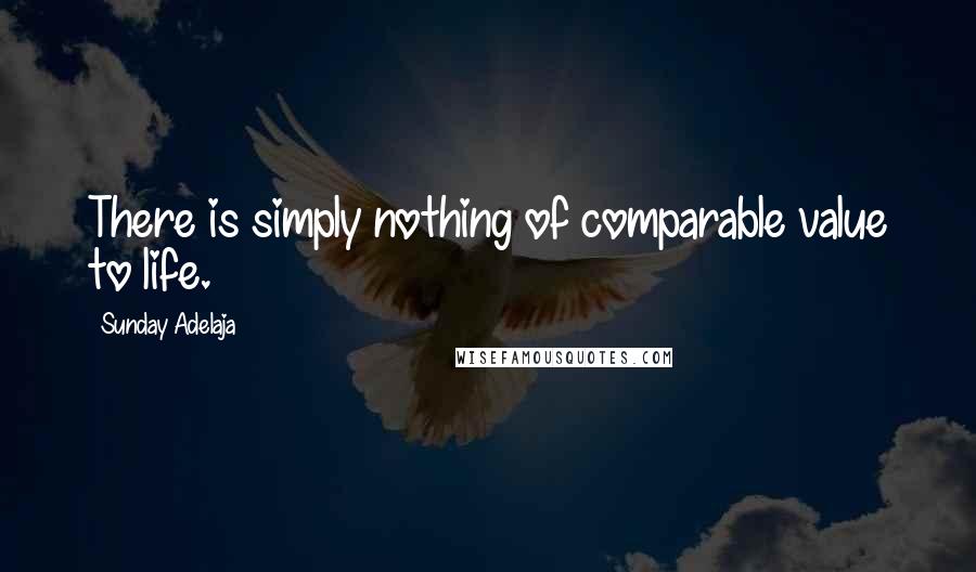 Sunday Adelaja Quotes: There is simply nothing of comparable value to life.