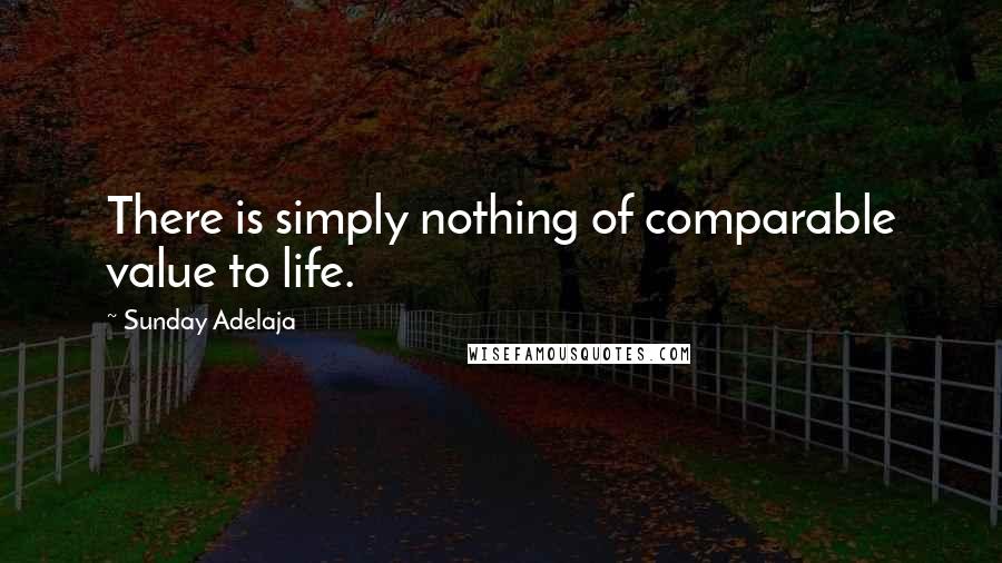 Sunday Adelaja Quotes: There is simply nothing of comparable value to life.