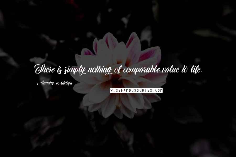 Sunday Adelaja Quotes: There is simply nothing of comparable value to life.