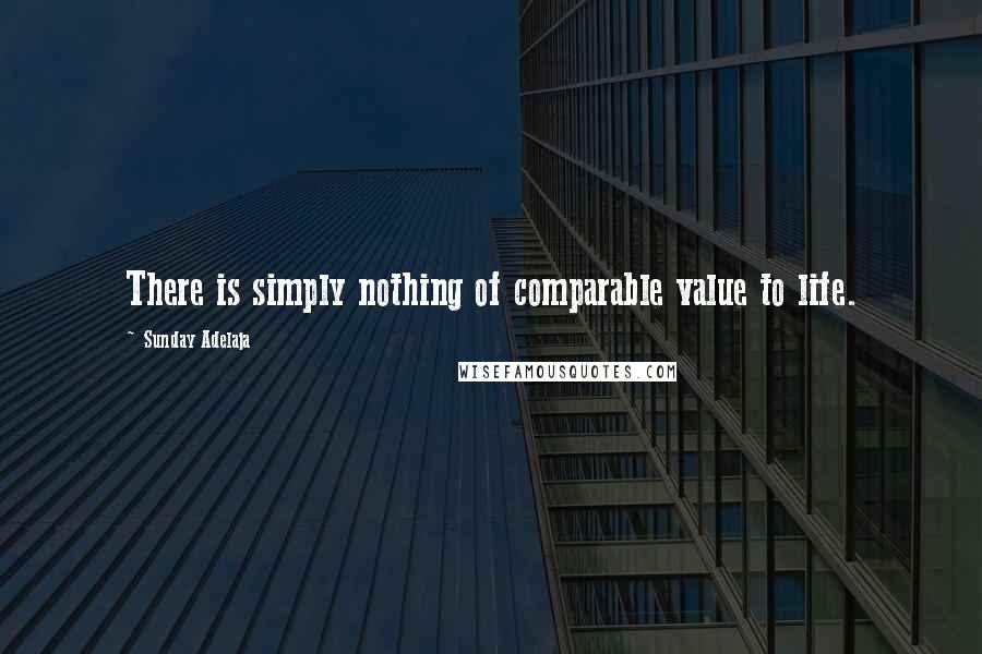Sunday Adelaja Quotes: There is simply nothing of comparable value to life.