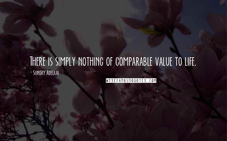 Sunday Adelaja Quotes: There is simply nothing of comparable value to life.