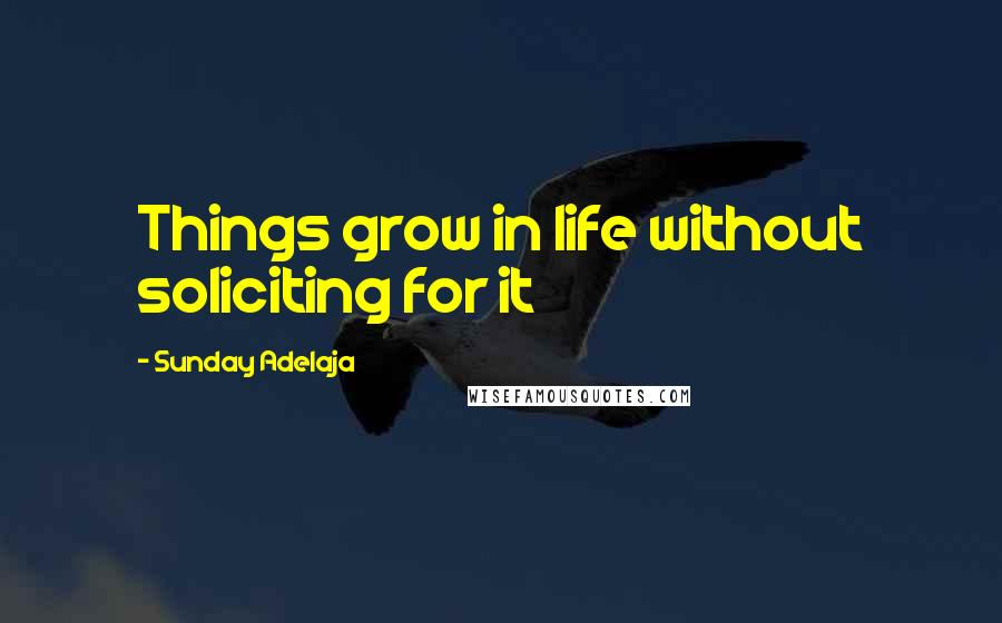 Sunday Adelaja Quotes: Things grow in life without soliciting for it