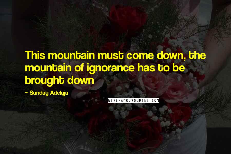 Sunday Adelaja Quotes: This mountain must come down, the mountain of ignorance has to be brought down