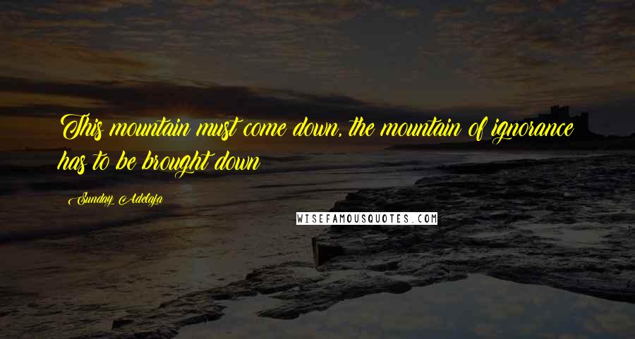 Sunday Adelaja Quotes: This mountain must come down, the mountain of ignorance has to be brought down