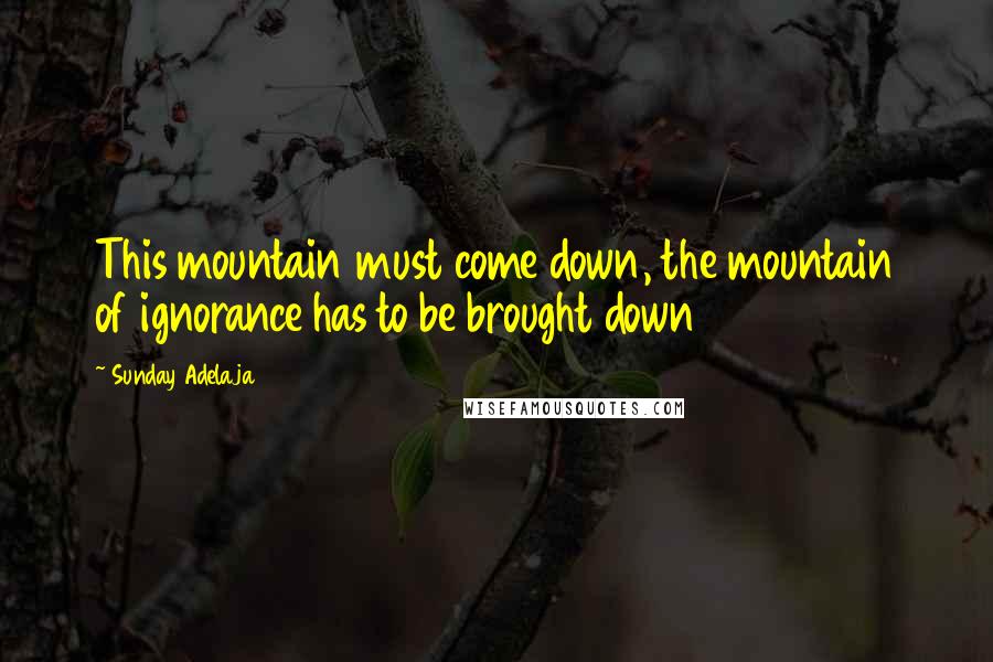 Sunday Adelaja Quotes: This mountain must come down, the mountain of ignorance has to be brought down