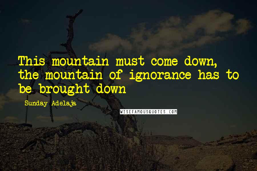 Sunday Adelaja Quotes: This mountain must come down, the mountain of ignorance has to be brought down