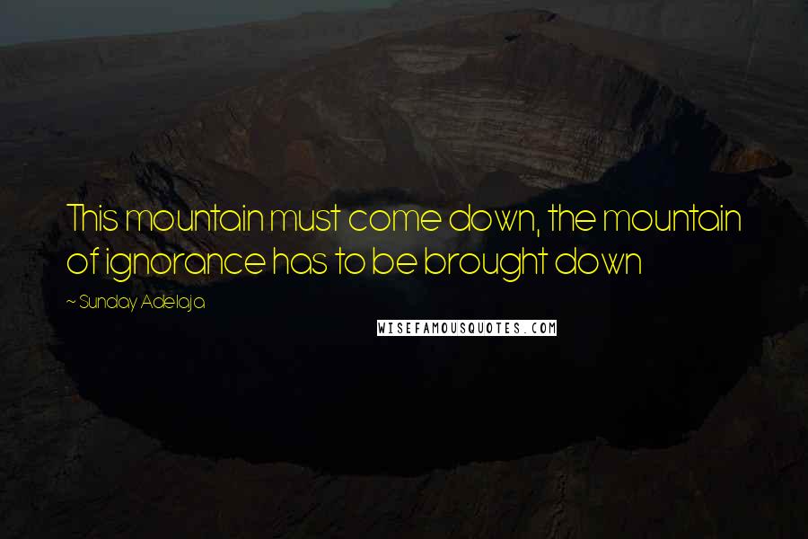 Sunday Adelaja Quotes: This mountain must come down, the mountain of ignorance has to be brought down