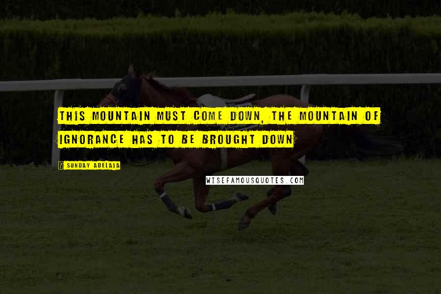 Sunday Adelaja Quotes: This mountain must come down, the mountain of ignorance has to be brought down