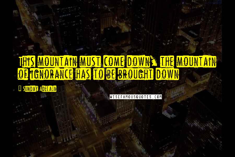 Sunday Adelaja Quotes: This mountain must come down, the mountain of ignorance has to be brought down