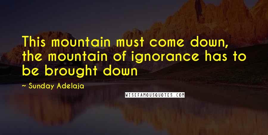 Sunday Adelaja Quotes: This mountain must come down, the mountain of ignorance has to be brought down