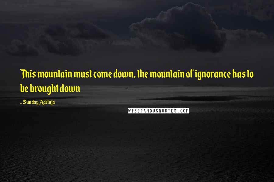 Sunday Adelaja Quotes: This mountain must come down, the mountain of ignorance has to be brought down