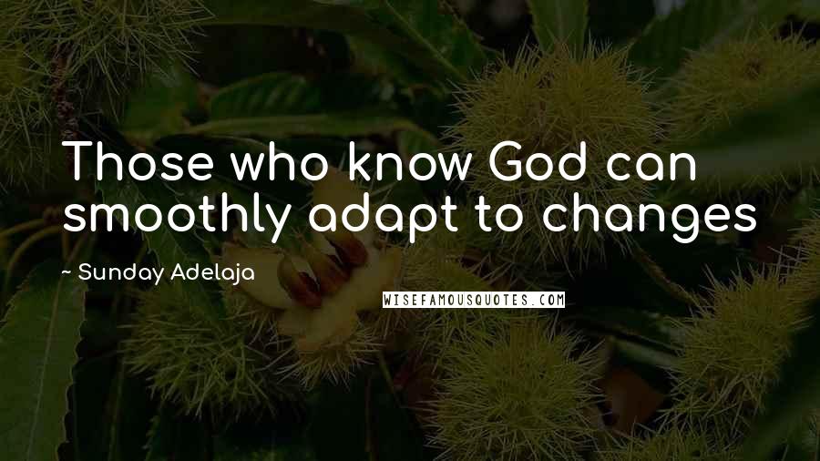 Sunday Adelaja Quotes: Those who know God can smoothly adapt to changes