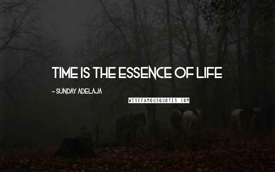 Sunday Adelaja Quotes: Time is the essence of life