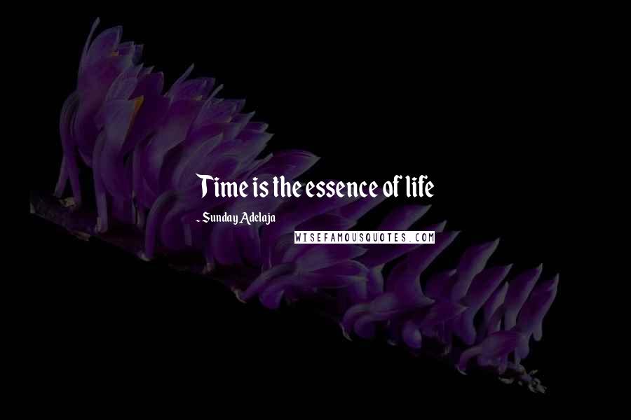 Sunday Adelaja Quotes: Time is the essence of life