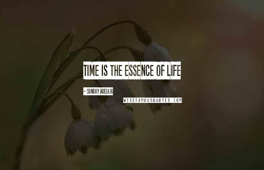 Sunday Adelaja Quotes: Time is the essence of life