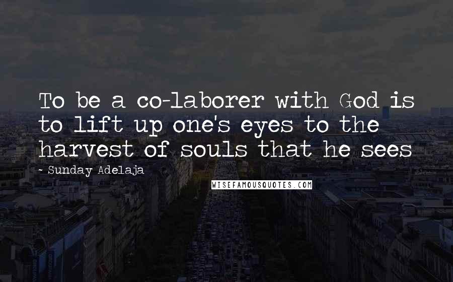 Sunday Adelaja Quotes: To be a co-laborer with God is to lift up one's eyes to the harvest of souls that he sees