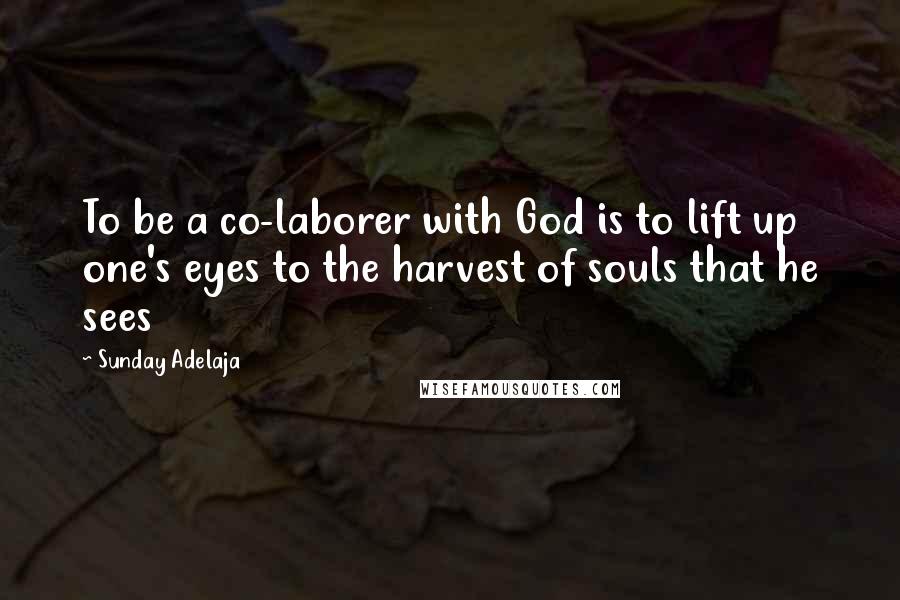 Sunday Adelaja Quotes: To be a co-laborer with God is to lift up one's eyes to the harvest of souls that he sees