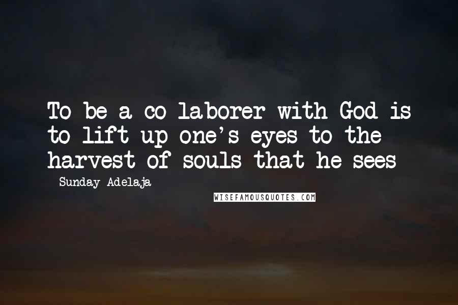 Sunday Adelaja Quotes: To be a co-laborer with God is to lift up one's eyes to the harvest of souls that he sees