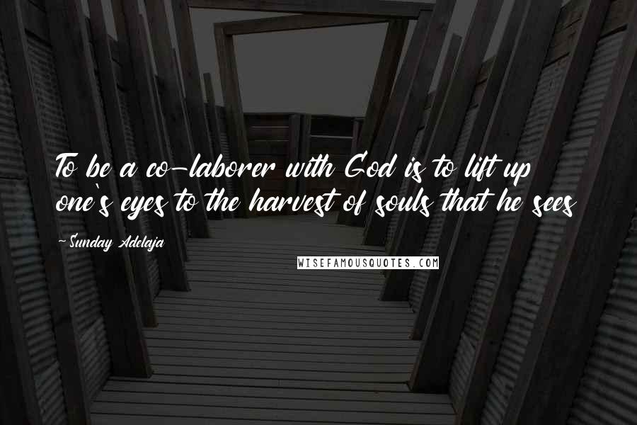 Sunday Adelaja Quotes: To be a co-laborer with God is to lift up one's eyes to the harvest of souls that he sees