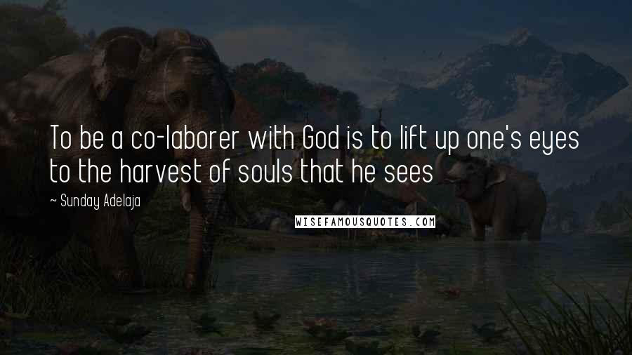 Sunday Adelaja Quotes: To be a co-laborer with God is to lift up one's eyes to the harvest of souls that he sees