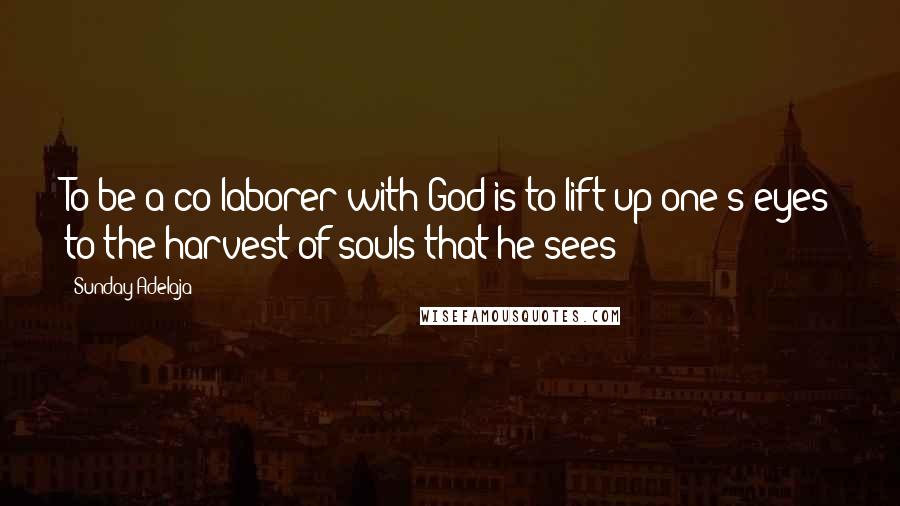 Sunday Adelaja Quotes: To be a co-laborer with God is to lift up one's eyes to the harvest of souls that he sees