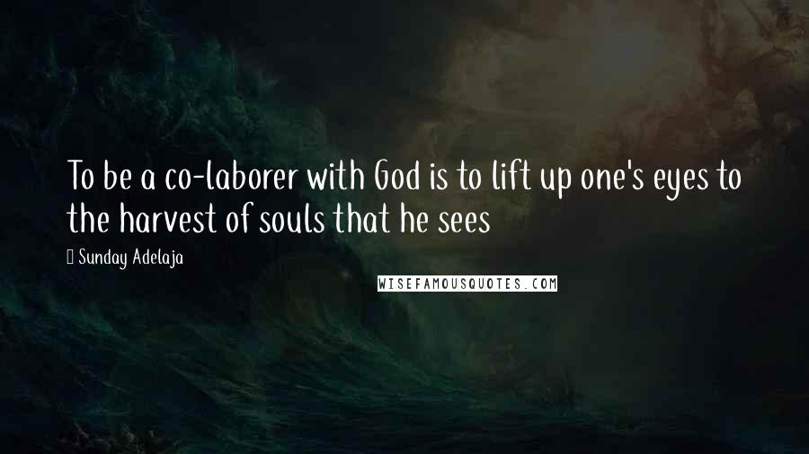 Sunday Adelaja Quotes: To be a co-laborer with God is to lift up one's eyes to the harvest of souls that he sees