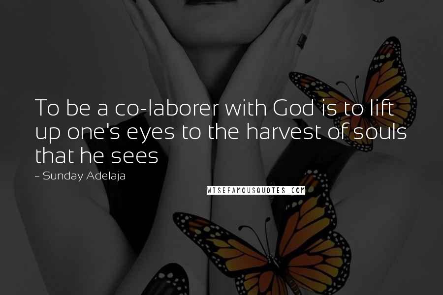 Sunday Adelaja Quotes: To be a co-laborer with God is to lift up one's eyes to the harvest of souls that he sees