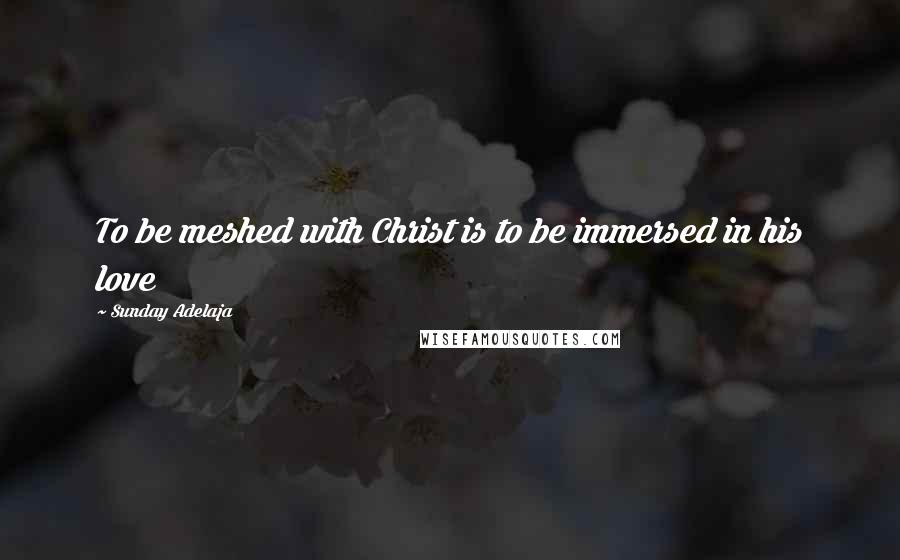 Sunday Adelaja Quotes: To be meshed with Christ is to be immersed in his love