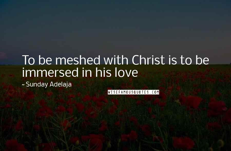 Sunday Adelaja Quotes: To be meshed with Christ is to be immersed in his love