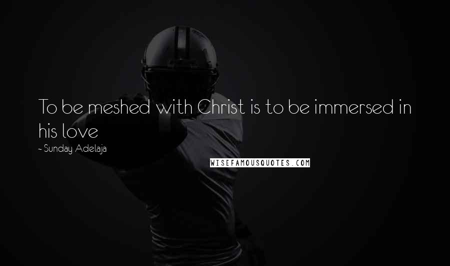 Sunday Adelaja Quotes: To be meshed with Christ is to be immersed in his love