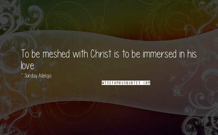 Sunday Adelaja Quotes: To be meshed with Christ is to be immersed in his love