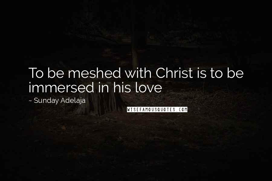 Sunday Adelaja Quotes: To be meshed with Christ is to be immersed in his love