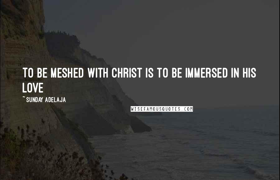 Sunday Adelaja Quotes: To be meshed with Christ is to be immersed in his love