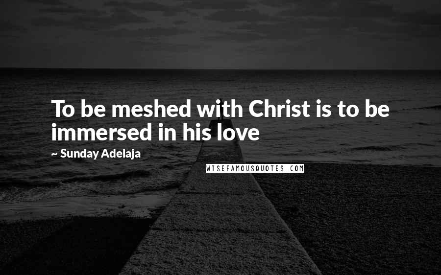 Sunday Adelaja Quotes: To be meshed with Christ is to be immersed in his love