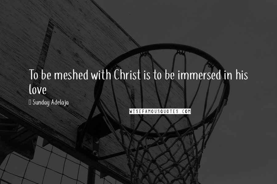 Sunday Adelaja Quotes: To be meshed with Christ is to be immersed in his love