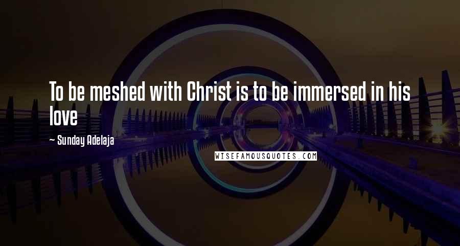 Sunday Adelaja Quotes: To be meshed with Christ is to be immersed in his love