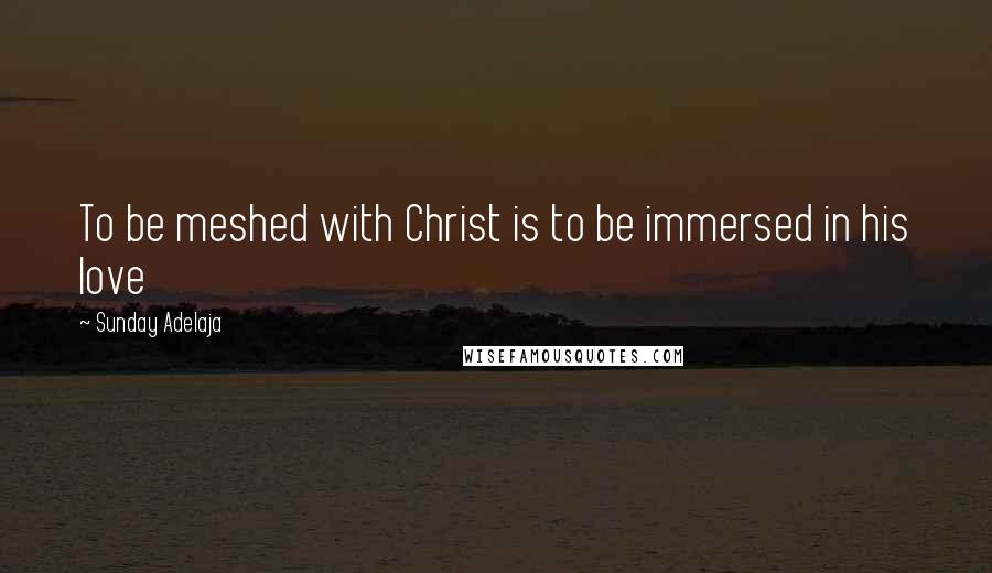 Sunday Adelaja Quotes: To be meshed with Christ is to be immersed in his love