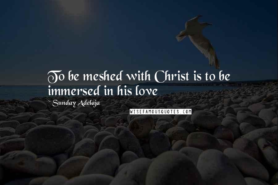 Sunday Adelaja Quotes: To be meshed with Christ is to be immersed in his love