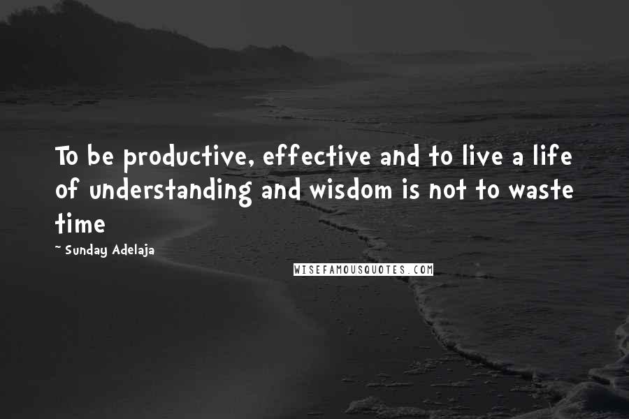 Sunday Adelaja Quotes: To be productive, effective and to live a life of understanding and wisdom is not to waste time