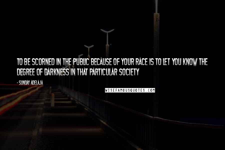 Sunday Adelaja Quotes: To be scorned in the public because of your race is to let you know the degree of darkness in that particular society