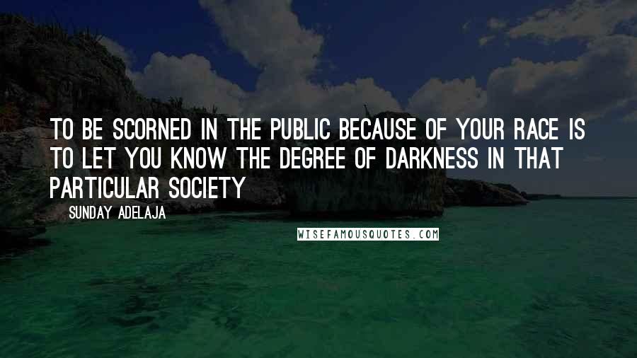 Sunday Adelaja Quotes: To be scorned in the public because of your race is to let you know the degree of darkness in that particular society