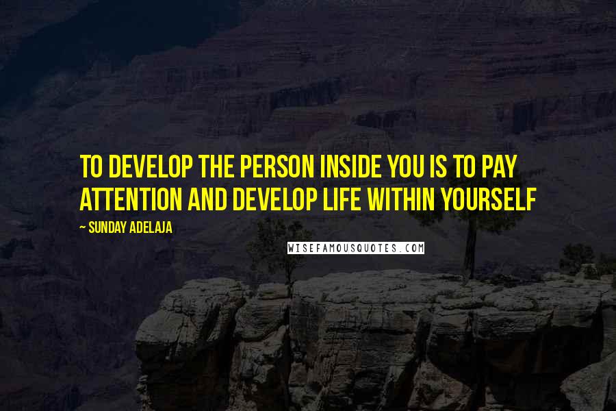 Sunday Adelaja Quotes: To develop the person inside you is to pay attention and develop life within yourself