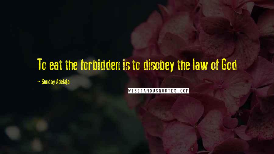 Sunday Adelaja Quotes: To eat the forbidden is to disobey the law of God