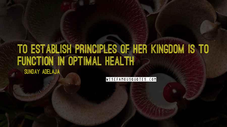 Sunday Adelaja Quotes: To establish principles of her kingdom is to function In Optimal Health