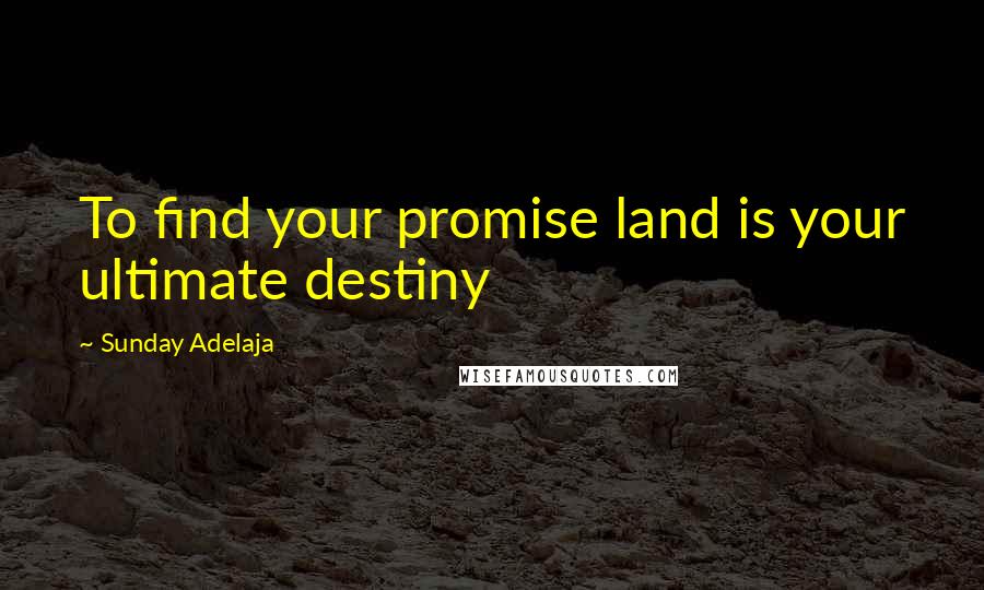 Sunday Adelaja Quotes: To find your promise land is your ultimate destiny